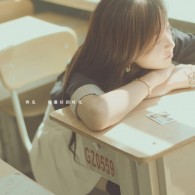 word2019下载电脑版